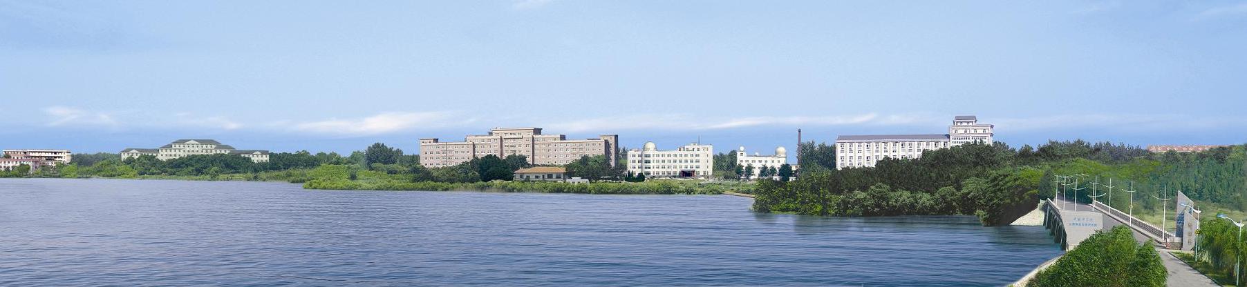 A Bird's Eye View on Science Island